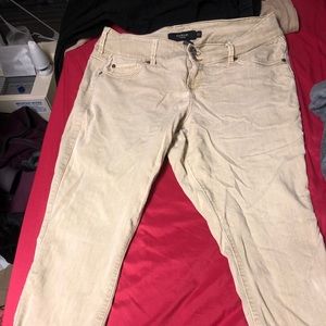 Torrid pants size 18R